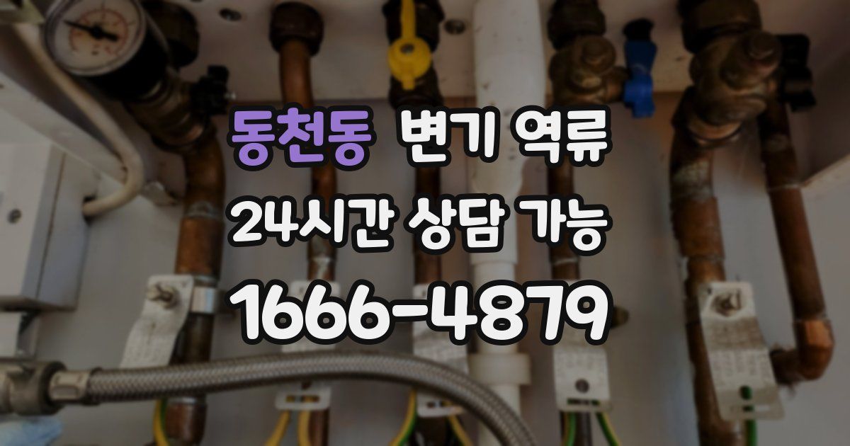 동천동 변기 역류