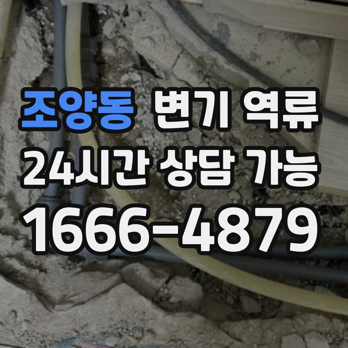 조양동 변기 역류