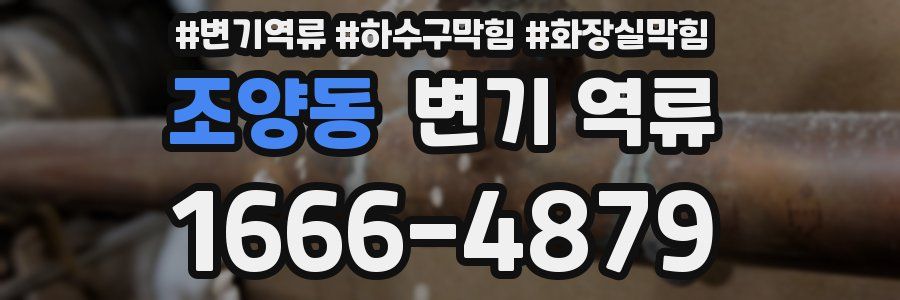 조양동 변기 역류