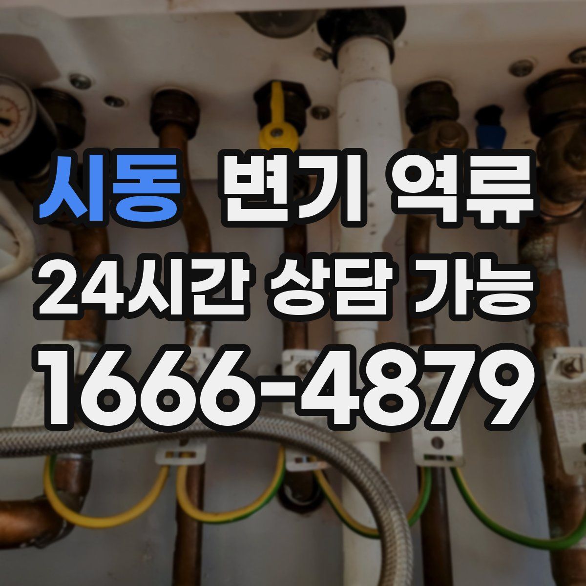 시동 변기 역류