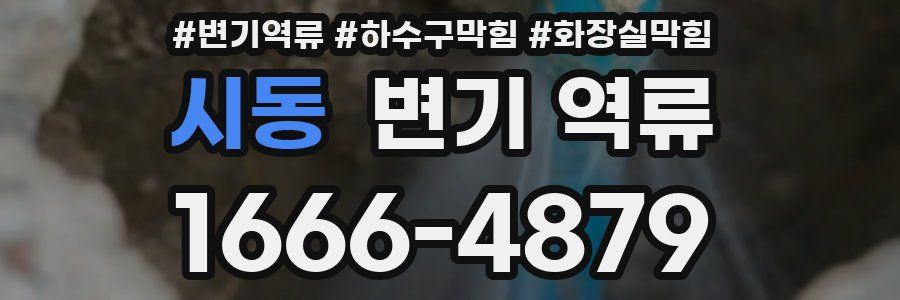 시동 변기 역류