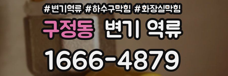 구정동 변기 역류