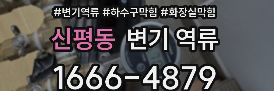 신평동 변기 역류
