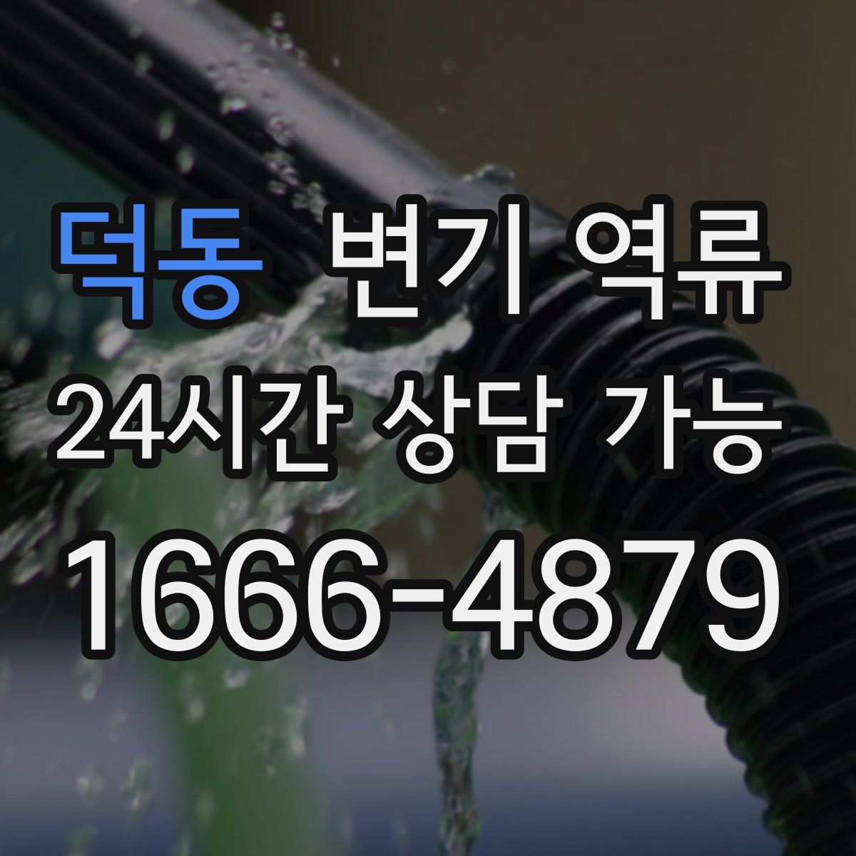 덕동 변기 역류