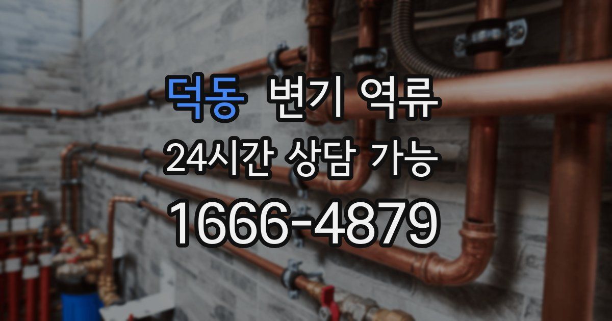 덕동 변기 역류