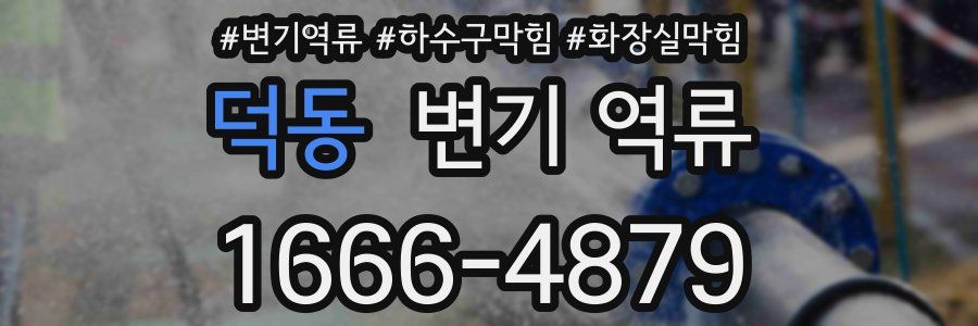 덕동 변기 역류