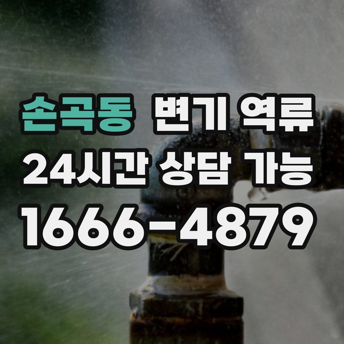 손곡동 변기 역류