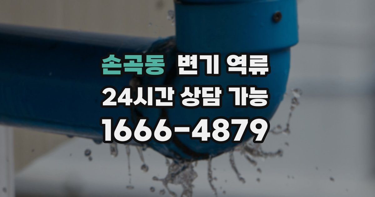 손곡동 변기 역류