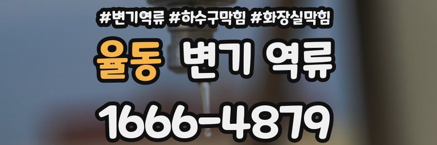 율동 변기 역류