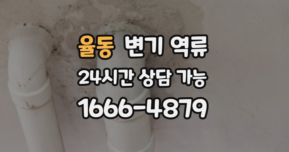 율동 변기 역류