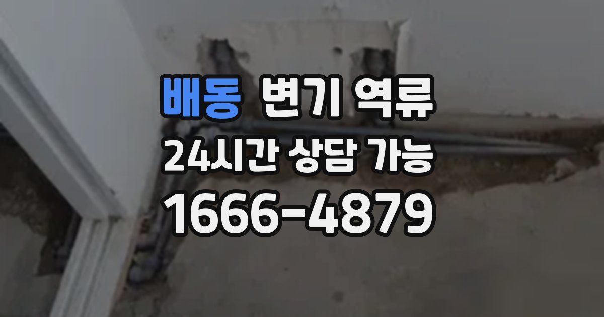 배동 변기 역류