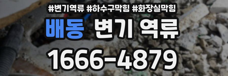 배동 변기 역류