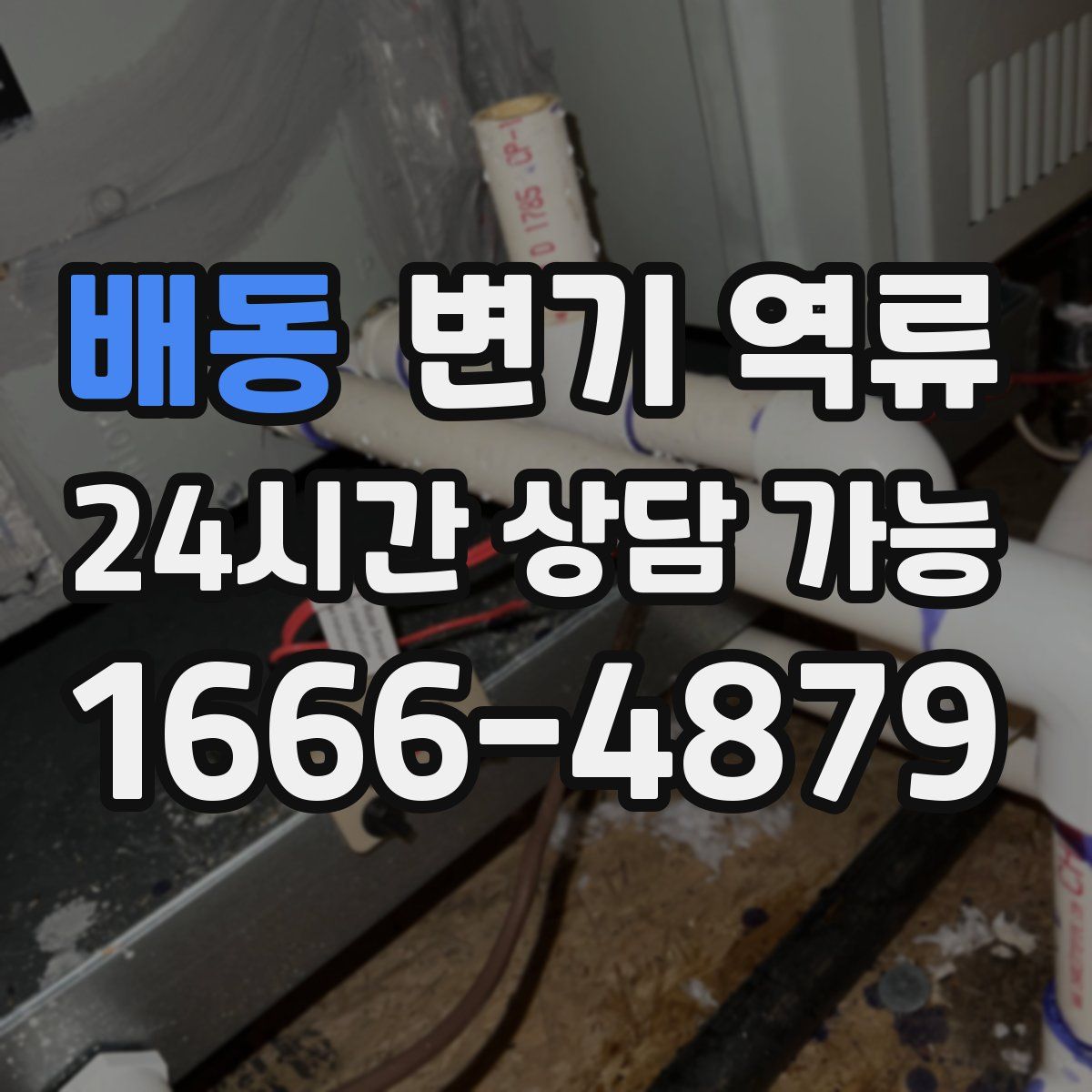 배동 변기 역류