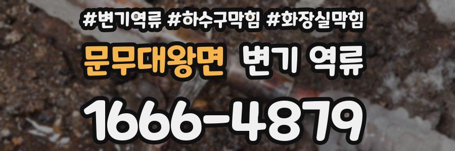 문무대왕면 변기 역류