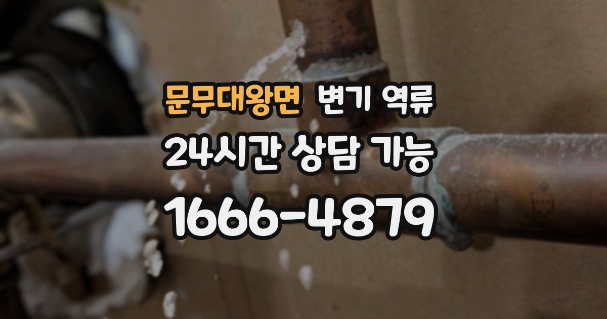 문무대왕면 변기 역류