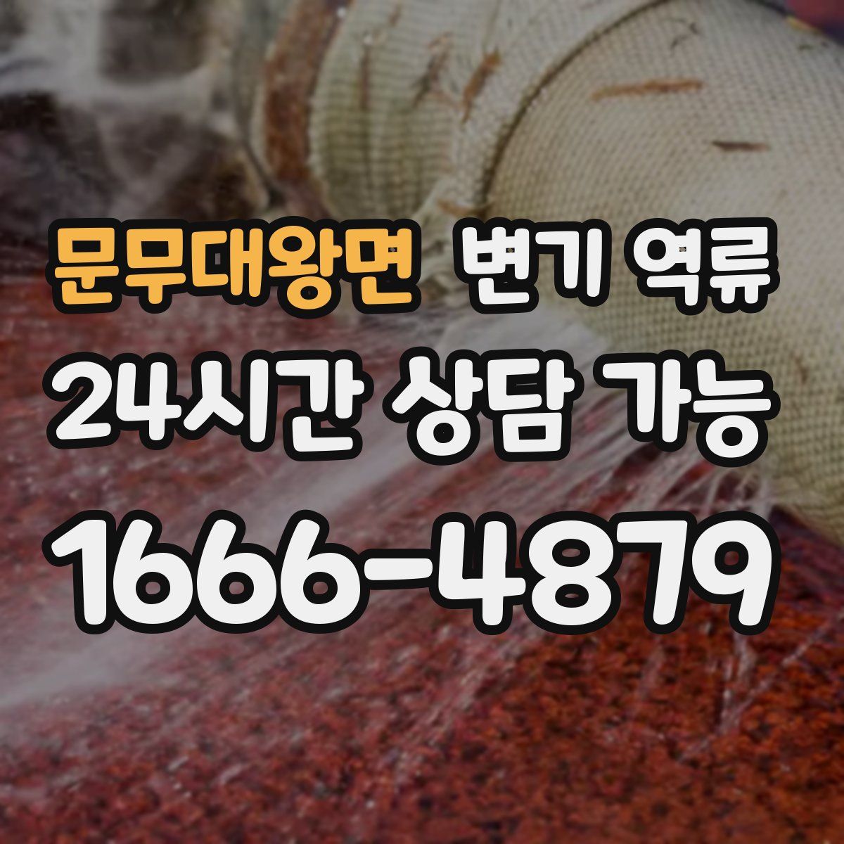 문무대왕면 변기 역류