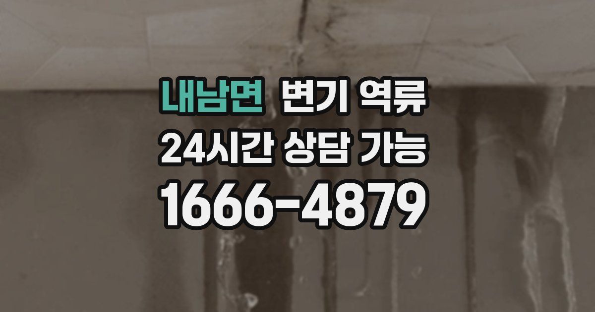 내남면 변기 역류