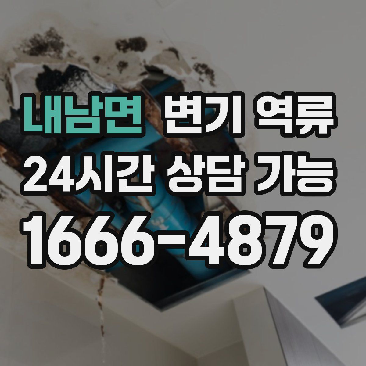 내남면 변기 역류