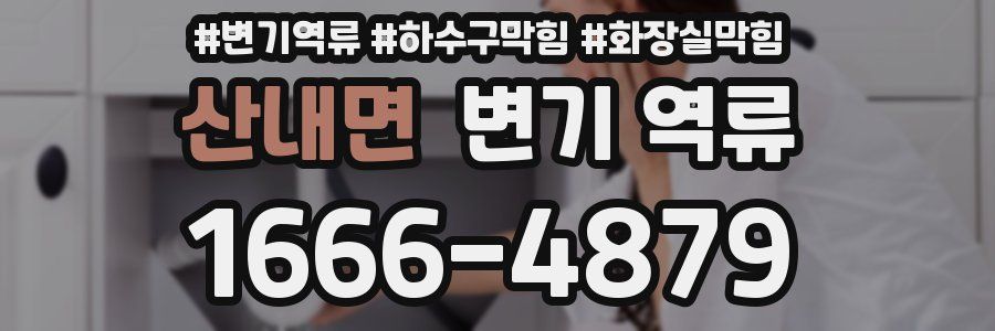 산내면 변기 역류