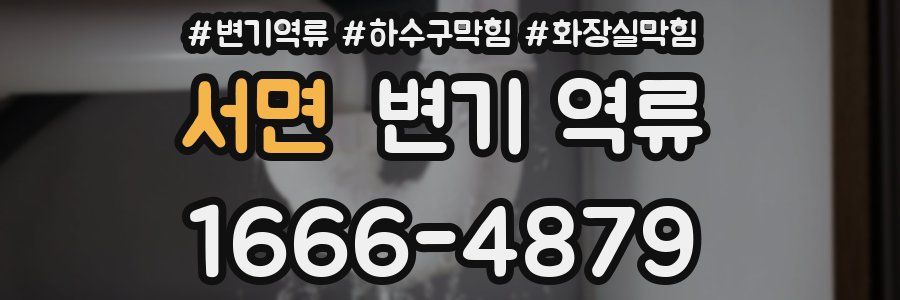 서면 변기 역류