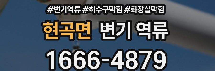 현곡면 변기 역류