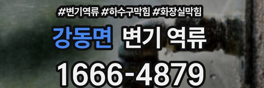 강동면 변기 역류