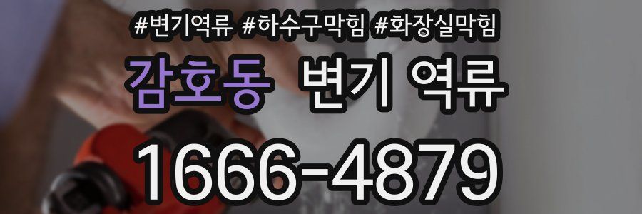 감호동 변기 역류