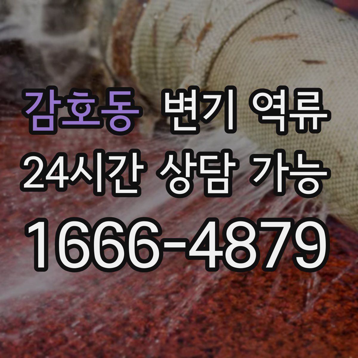 감호동 변기 역류