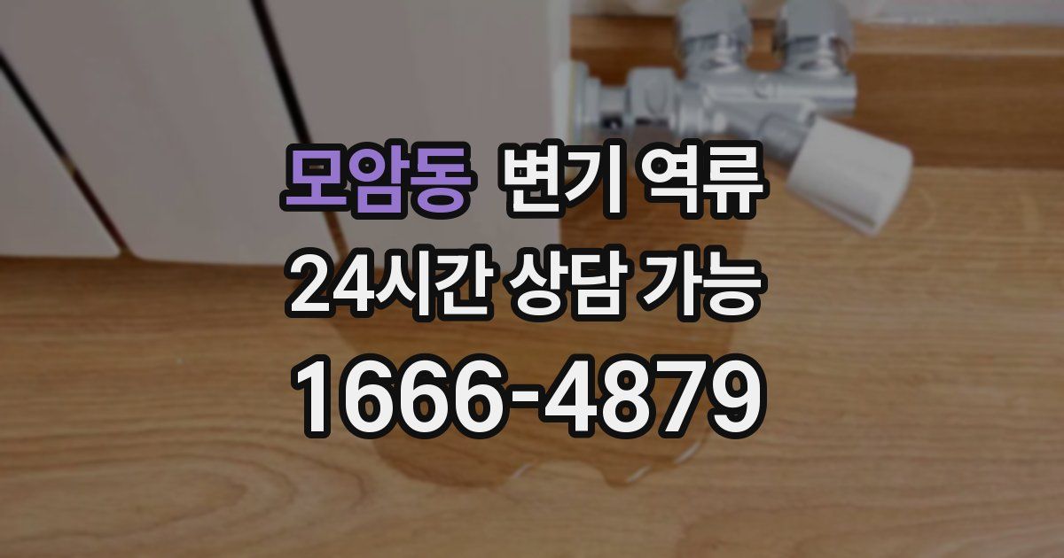 모암동 변기 역류