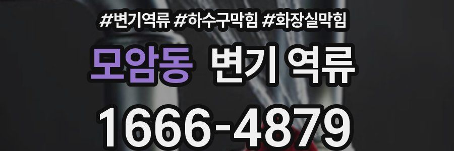 모암동 변기 역류