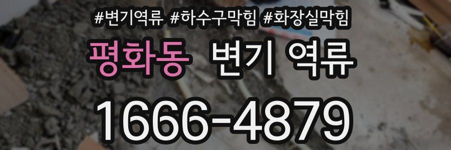 평화동 변기 역류