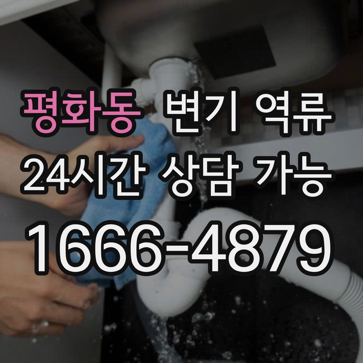 평화동 변기 역류