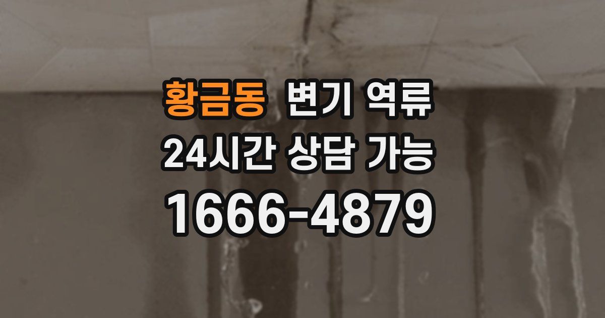 황금동 변기 역류