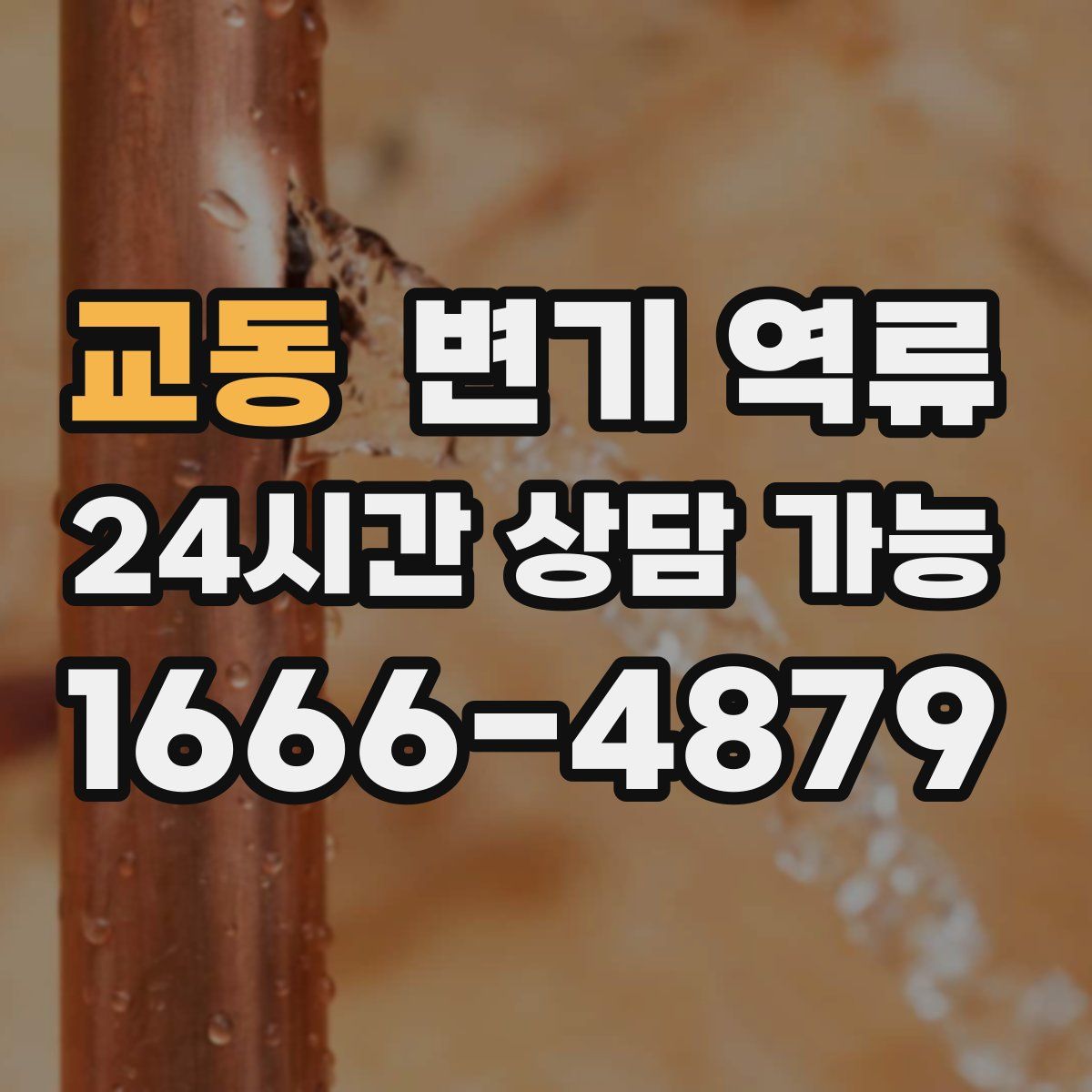 교동 변기 역류