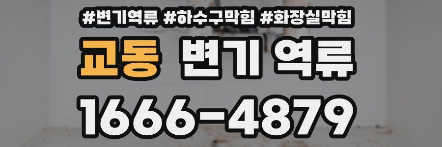 교동 변기 역류