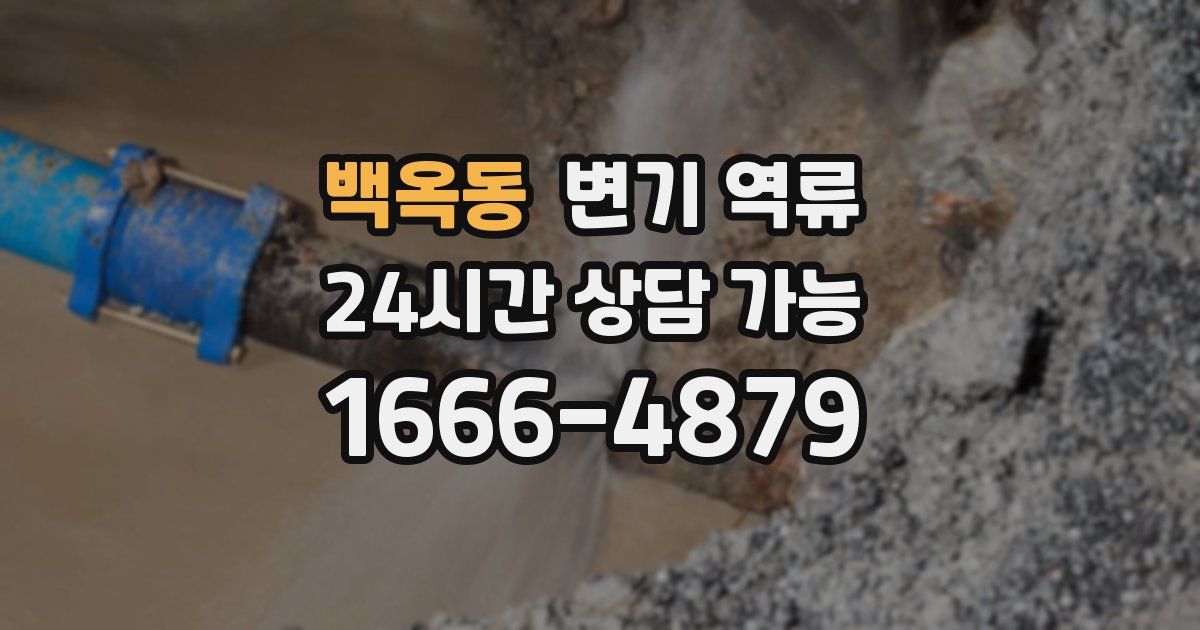 백옥동 변기 역류