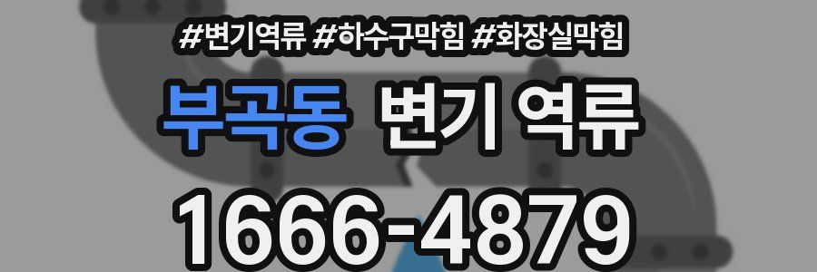 부곡동 변기 역류