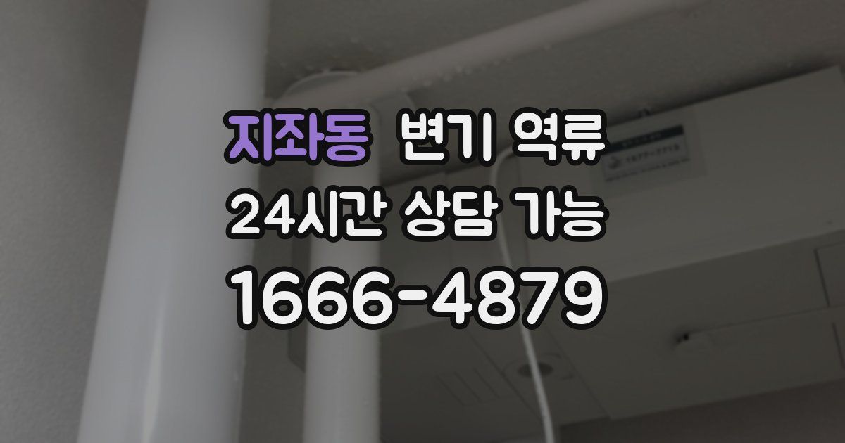 지좌동 변기 역류