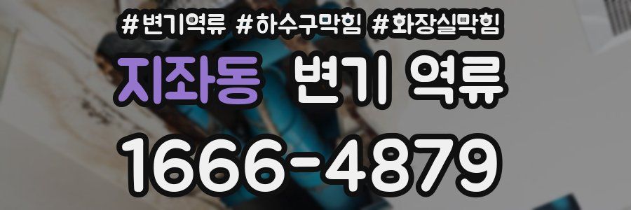 지좌동 변기 역류