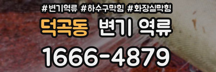 덕곡동 변기 역류