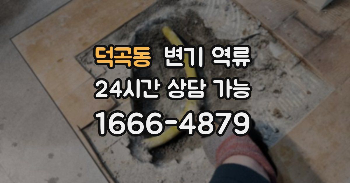 덕곡동 변기 역류