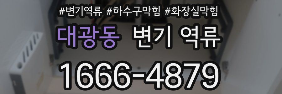 대광동 변기 역류