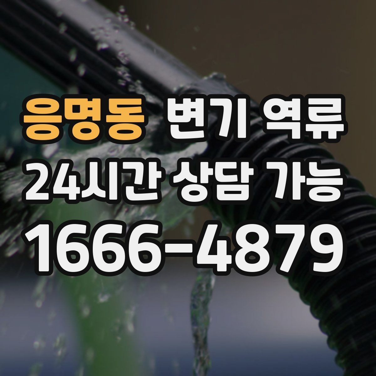 응명동 변기 역류 초기 대응이 피해를 줄이는 가장 빠른 방법