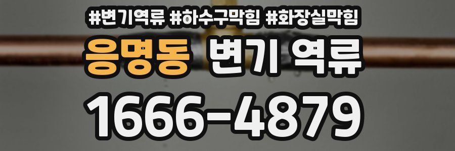 응명동 변기 역류