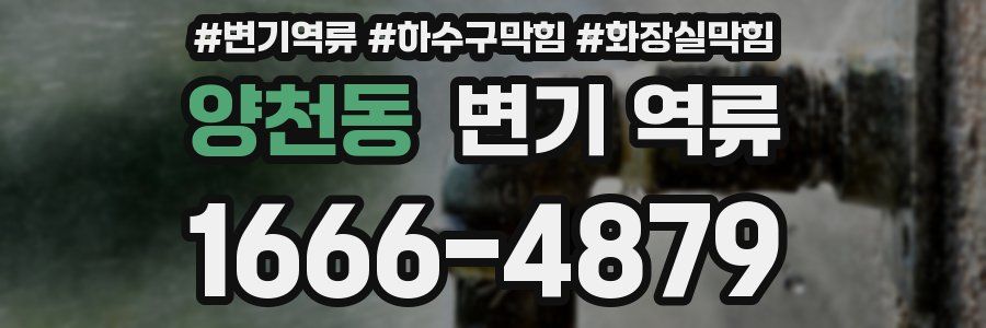 양천동 변기 역류