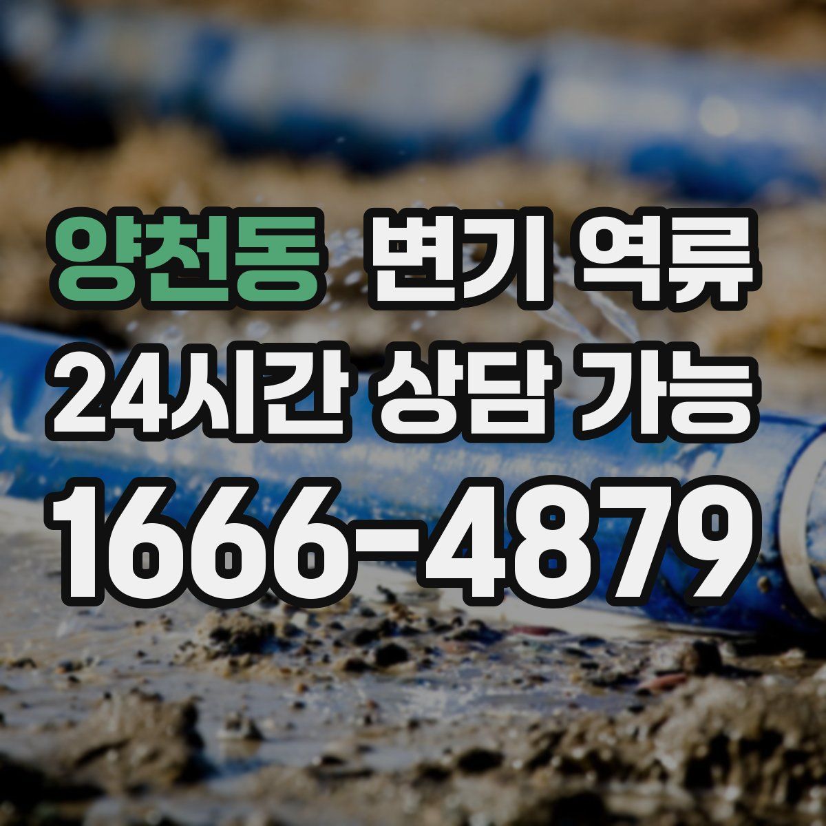 양천동 변기 역류