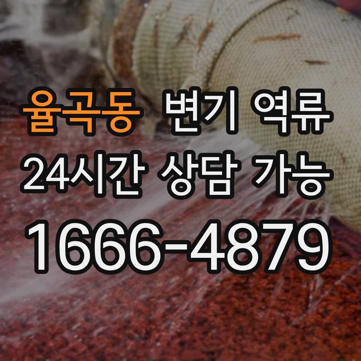 율곡동 변기 역류 음식물 찌꺼기가 들어가면 생기는 문제