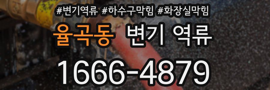 율곡동 변기 역류