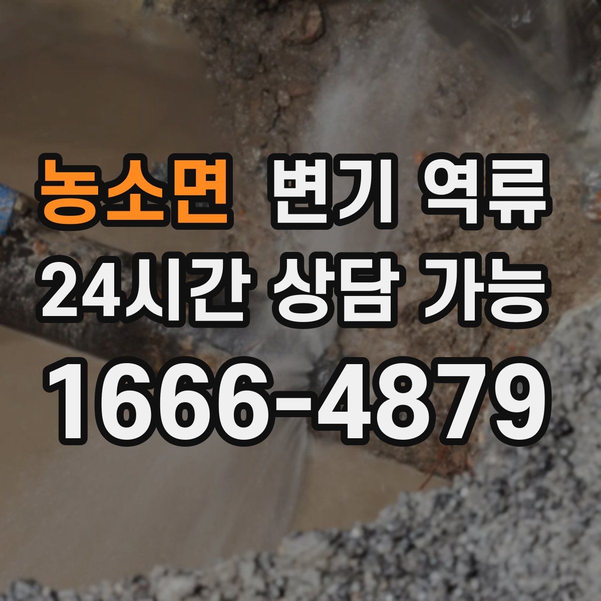 농소면 변기 역류