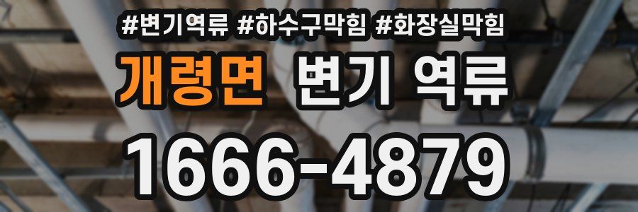 개령면 변기 역류